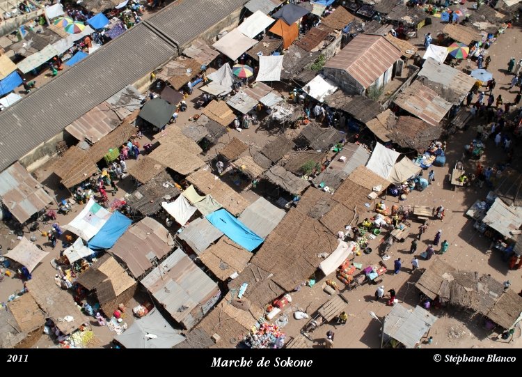 senegal